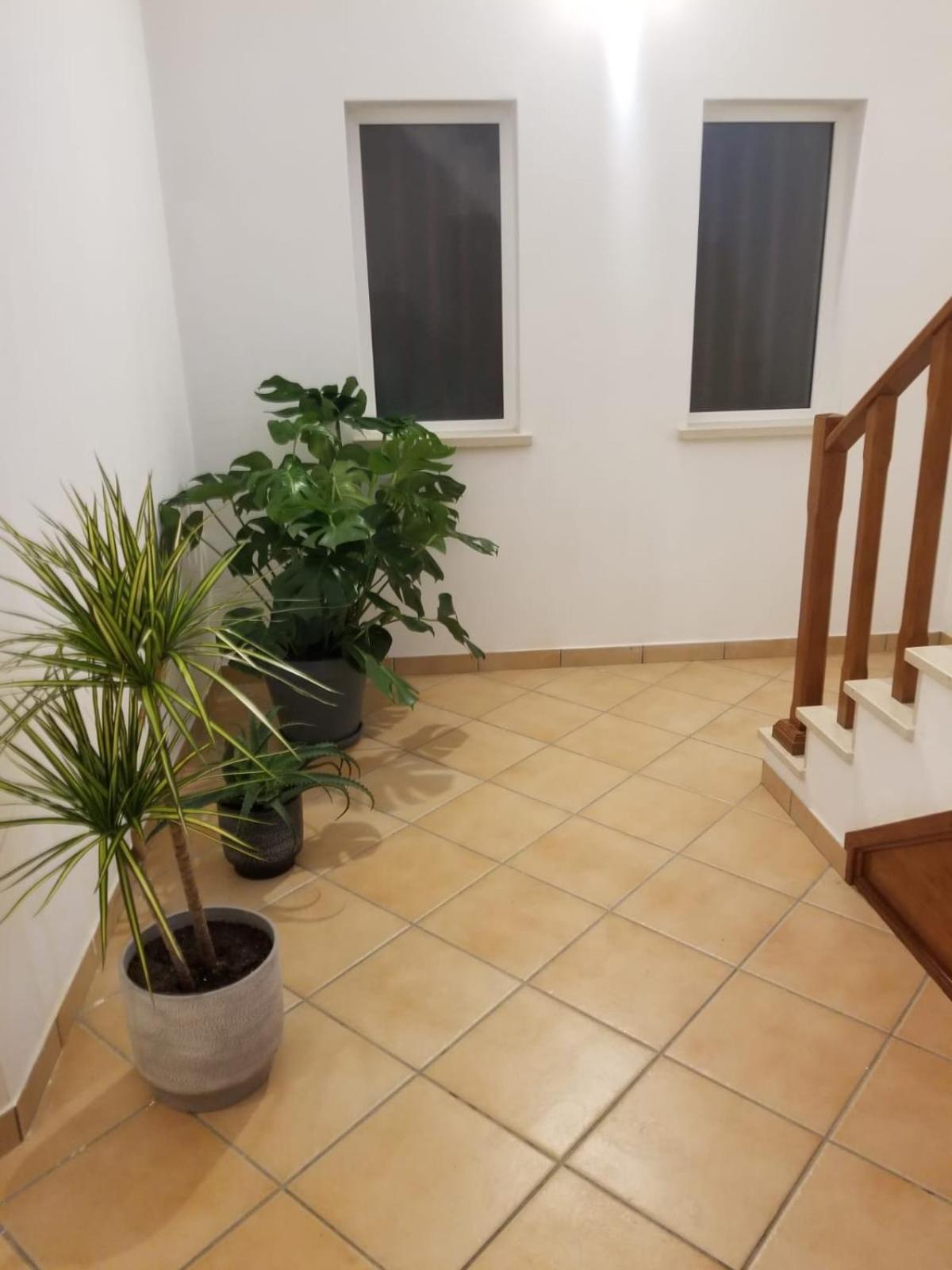 Le Parisien 1 Appartement Serra d'El-Rei Buitenkant foto